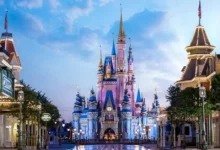 How Much Money Does Disney Make a Day?