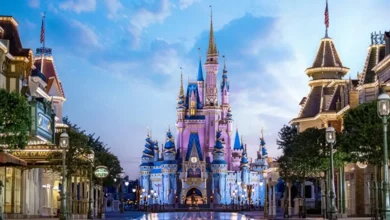 How Much Money Does Disney Make a Day?